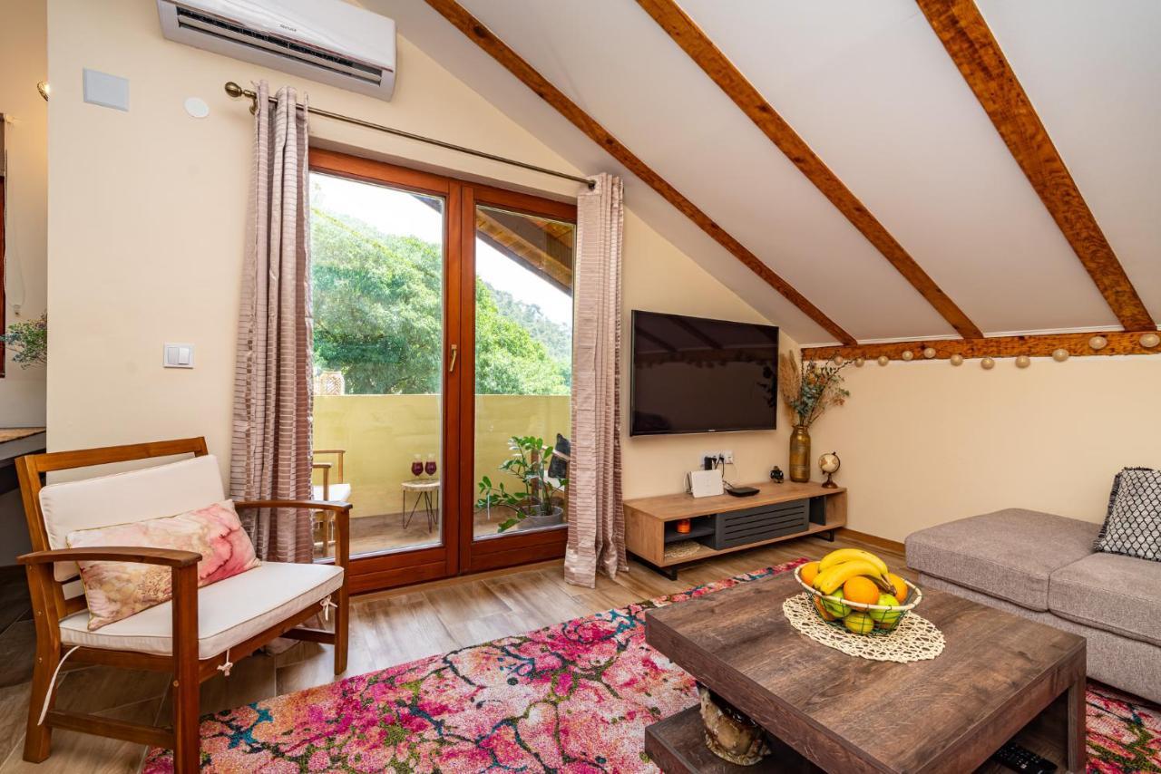 Apartment Maris2 Novigrad  Bagian luar foto